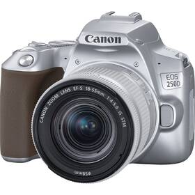 Digitální fotoaparát Canon EOS 250D DATART