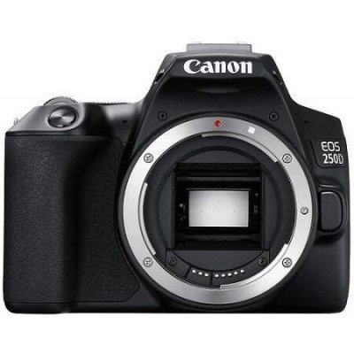 TOP 2. - Canon EOS 250D
