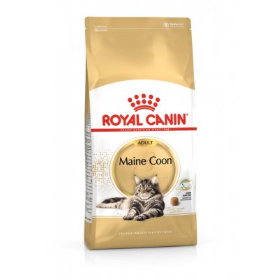 TOP 3. - Royal Canin Maine Coon Adult 10 kg