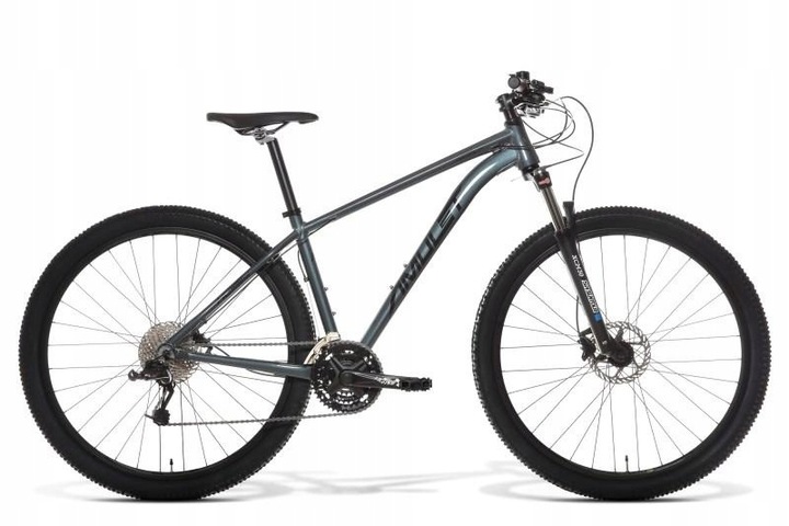 29 Rival 1.0 SR, modrá/stříbrná, L