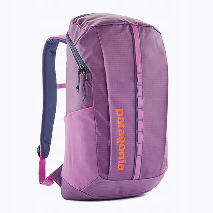 Mestský batoh Patagonia Black Hole Pack 25 l brisk purple 25 l