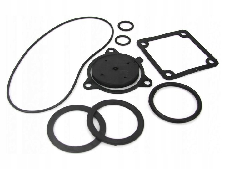 Súprava tesnení pre čerpadlo 2" M799203 M7992019